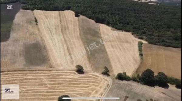 Mkp Paşalar'da 35.705m Tarla Satılık