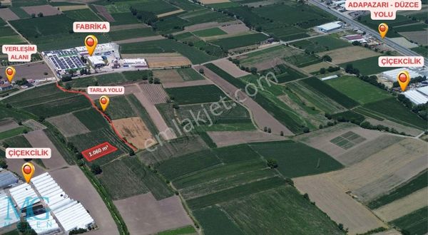 Sakarya Erenler Sarıcalar Fabrika Bölgesinde Fırsat Tarla