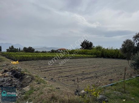 Yüksek Bölgede Belediyeden İmarlı, İfrazlı Ruhsatlı Köşe Parsel
