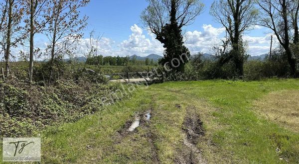 İlyas Nas'tan Satılık Çeltik Ve Kavak Tarlası