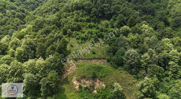 Remax Natural'den Lütfiye Köyünde 2625m2 Tarla