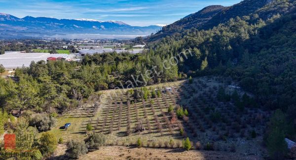 Kaş Merkeze 10 Dakika Fırsat Bahçe (su Ve Elektrik İçinde)