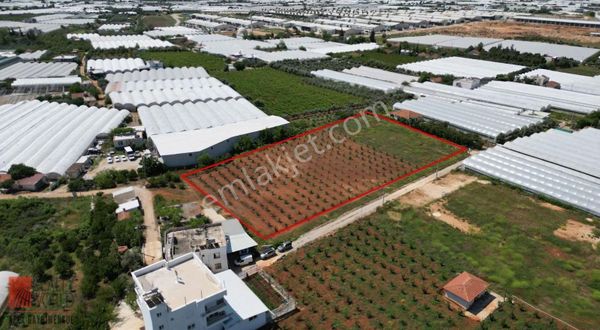 Antalya Gaziler Sanayi Sitesine 350 M Mesafede Satılık Tarla