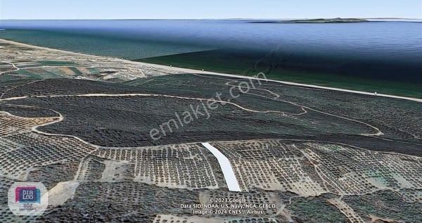 Mesudiye Deniz Manzaralı Yola Cephe Yatırımlık Tarla Dialog Söz