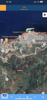 Dialog Söz'den Gemlik Kurşunlu'da Satılık Zeytinlik Tarla