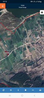 Sakarya Geyve Bözüren Köyünde S1820 Metre Kare Tarla