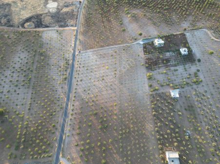 World İlkevim'den Göbeklitepe Yol Üzeri Satılık Arsa (videolu)