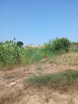 Manavgat /kızılot Ta Denize 1 Km. 0.75 Emsal 3 Kat İmarlı Arsa