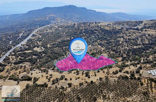 Foça Merkezde 15.444 M2 Güzel Konumda Tarla Ve Ruhsatlı Çiftlik