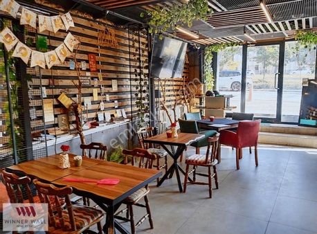 Wııner Wall'dan Devren Kiralık Cafe