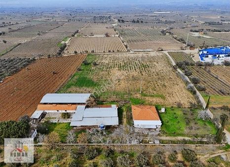 İzmir-ankara Asfaltına 250 M Mesafede Satılık Çiftlik Ve Tarla