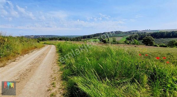 Kaynarca Topcu Mahallesinde Resmi Yola Cepheli Satılık 2 Parsel
