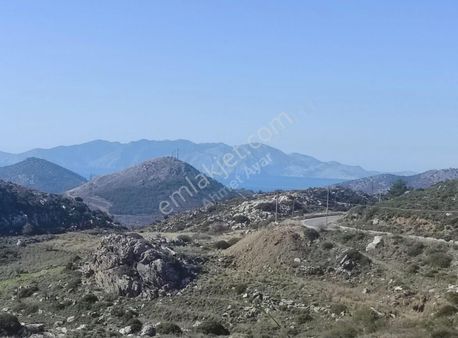 Ahmet Ayar'dan Yeşilova Deniz Gören 7388 Metrekare Geniş Arazi