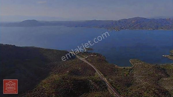 Muğla Milas Göl Manzaralı Satılık Zeytinlik
