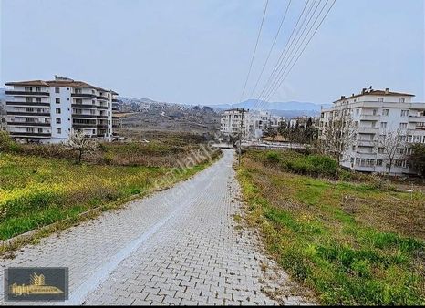 Çınarcık Koruköyde Satılık Arsa