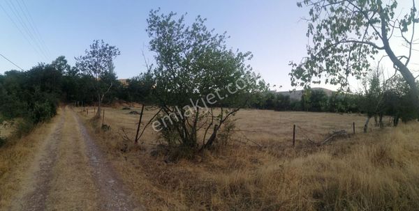 Kuzey Emlak'tan Satılık Çevre Yolu Yakınında Soğulcak Bağlarında 6 Dönüm Tarla