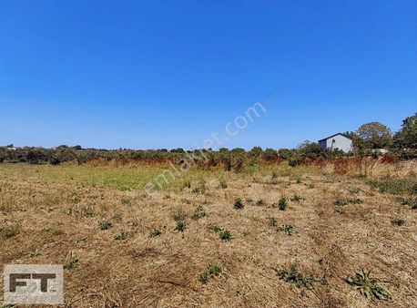 19 Mayıs Mimarsinan Da Satılık Tarla