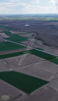 Tekirdağ Hayrabolu Lahana Satılık 262m2 Tarladan Fırsat Hisseler