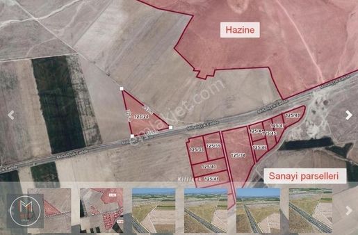 Yatırımlık Eskişehir Alpu Bozan 21.239 M² Ana Yola Cephe Tarla