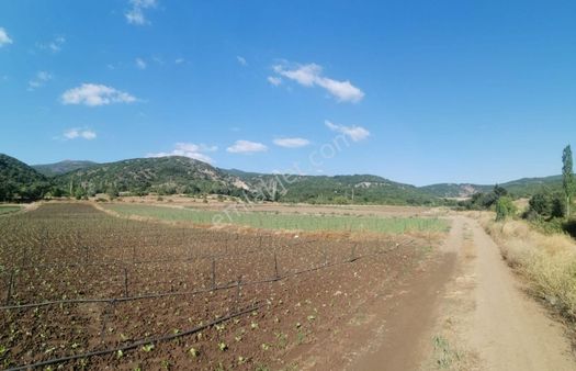 Kuzey Emlak'tan Satılık Pınarlı Köyünde Tarla Ve Bahçe