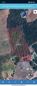 Sıraçta Satılık Kivi Bahçesi