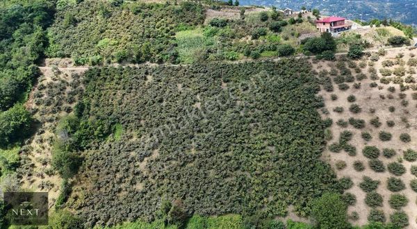 Mersin'de Satılık 4.420m2 Arsa