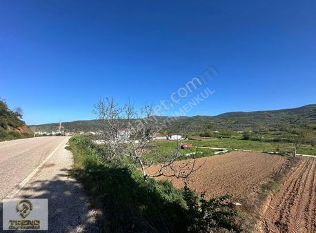 Trend Gym'den Sahil Yenice Köy Dibi Asfalta Cephe Satılık Arazi