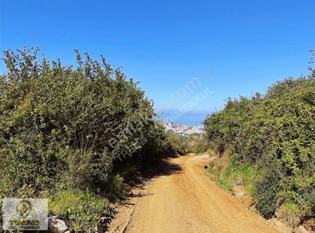 Trend'den İçersinde Doğal Suyu Bulunan 2740m2 Mükemmel Arazi