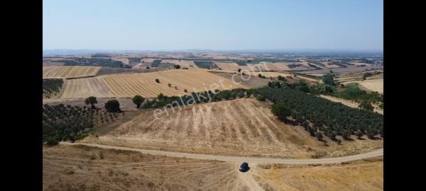 Mustafakemalpaşa Koşuboğazı Yatırımlık Tarla