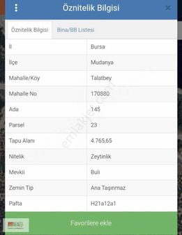 Deniz Manzaralı Yatırımlık Zeytinlik