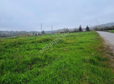 Atakum Kamalı'da Yatırımlık Tarla