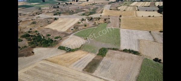 Bursa Mustafakemalpaşa Güllüce Yatırımlık Tarlalar