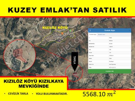 Kuzey Emlak'tan Satılık Kızılöz Köyünde 5568 M2 Cevizlik