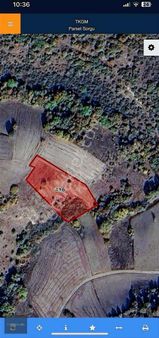 Nitelik Yatırım'dan Mustafakemalpaşa'da Fırsat Tarla