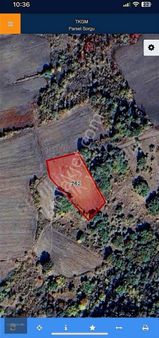 Nitelik Yatırım'dan Mustafakemalpaşa'da Fırsat Tarla