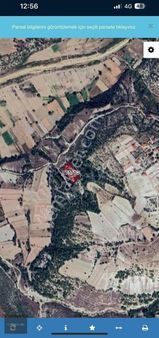 Nitelik Yatırımdan Manisa Selendi Den Fırsat Arazi