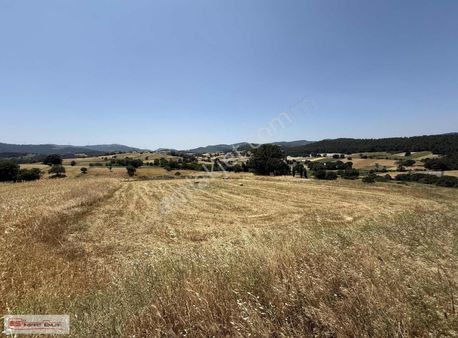 Konakpınar'a Yürüme Mesafesinde Düz Konumda Yatırımlık Arazi