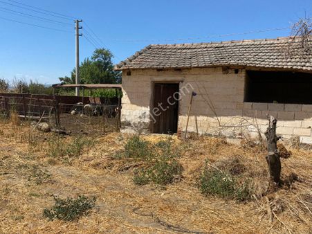 İzmir Tire Derebaşı Mh Satılık Hiseli Tarla