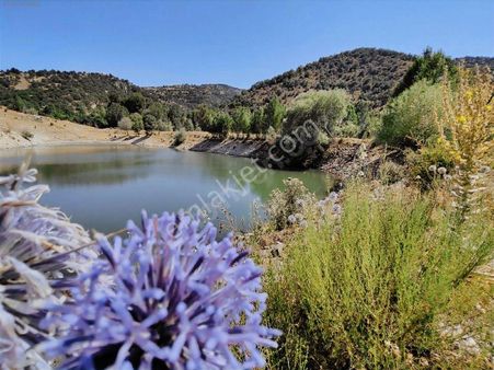 Değirmenayvalıda Satılık Bağ&bahçe