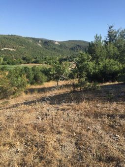 Bursa Yenişehir Günece Mahallesinde 1573 M2 Tarla