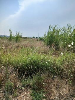 Sarılar Yeni Mah.de 3 Kat İmarlı Arsa