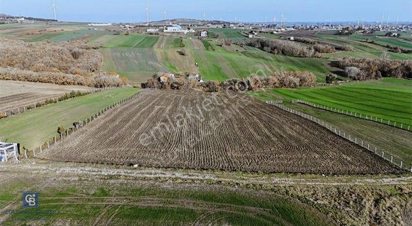 Acil Satılık Tek Tapu 5020 M2 Kadastro Yolu Olan Tarla