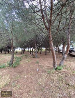 Eylem Gayrımenkul'den Topağaç'ta Site'de 3+1 Satılık Daire