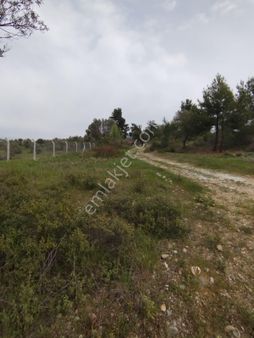 Acil Buca Kırıklar Cezaevi Yakını 2 Dönüm Tek Tapulu Tarla