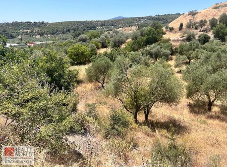 Rw - Fly'dan Villa İmarlı Köy Arsası