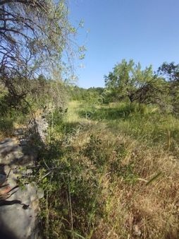 Alanya Gözübüyük Mah Satılık Tarla