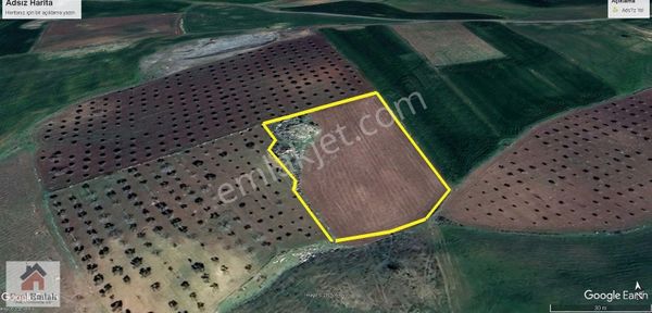 Ezel Emlak Tan Burç Da 6331 M2 Resmi Yol Üzeri Satılık Arazi