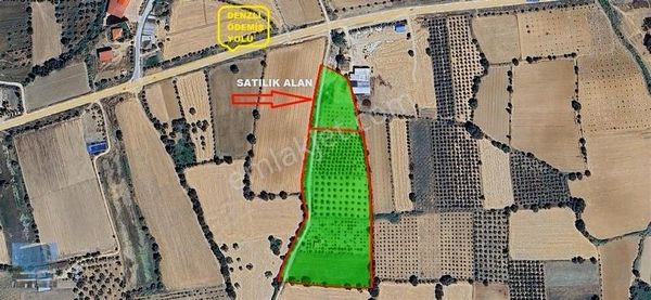 İzmir Kiraz'da Satılık 4500 M2 Tarla