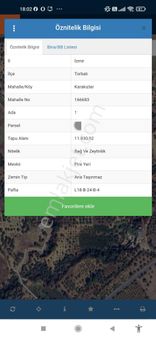 İzmir Torbalı Karakızlarda Satılık 2500 M2. Bağ Zeytinlik Vasıflı Tarla
