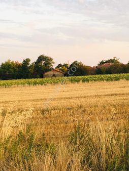 Süloğlu Tatarlar Köyünde İmarlı İfrazlı Bölgenin En Uygun Arsası